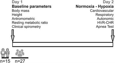 Hypoxic Respiratory Chemoreflex Control in Young Trained Swimmers